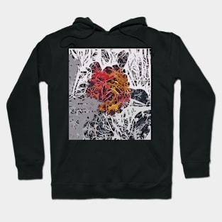 Autumn web Hoodie